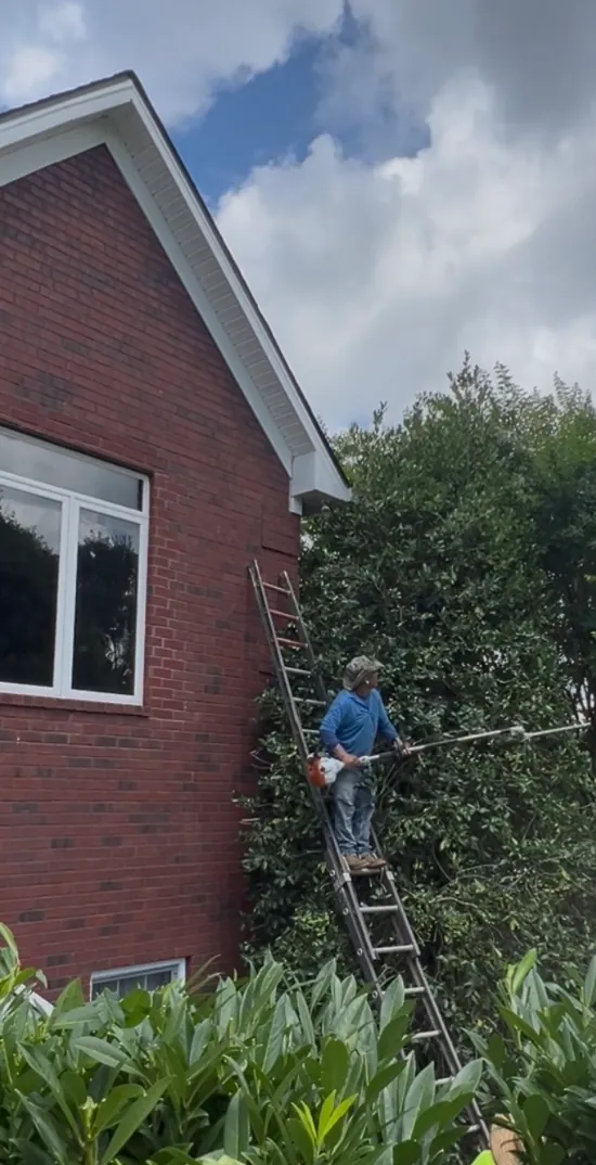 MRX Landscaping crew trimming shrubs on a Middle Tennessee property